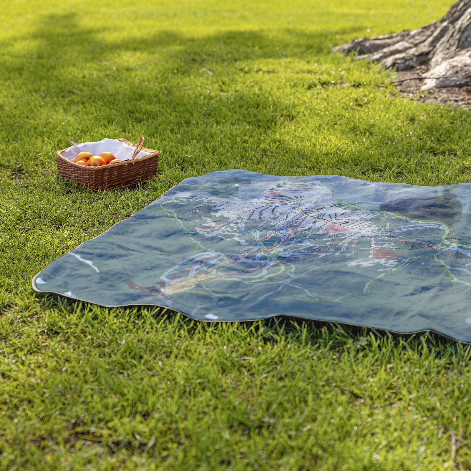 LakeLouise_StadiumBlanket_Lifestyle_Grass_V_AS_Mockup.png