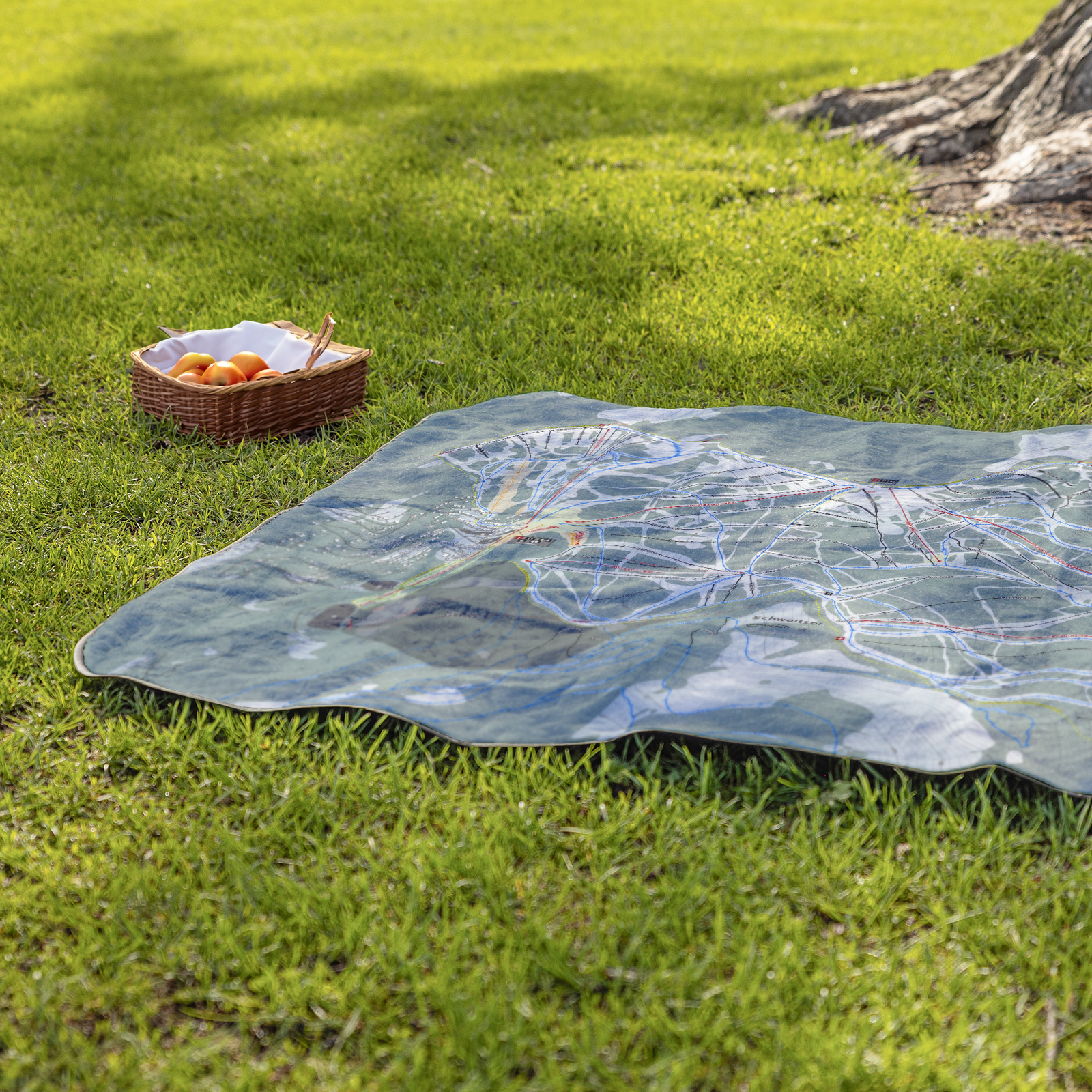 Schweitzer-Big_StadiumBlanket_Lifestyle_Grass_V_AS_Mockup.png
