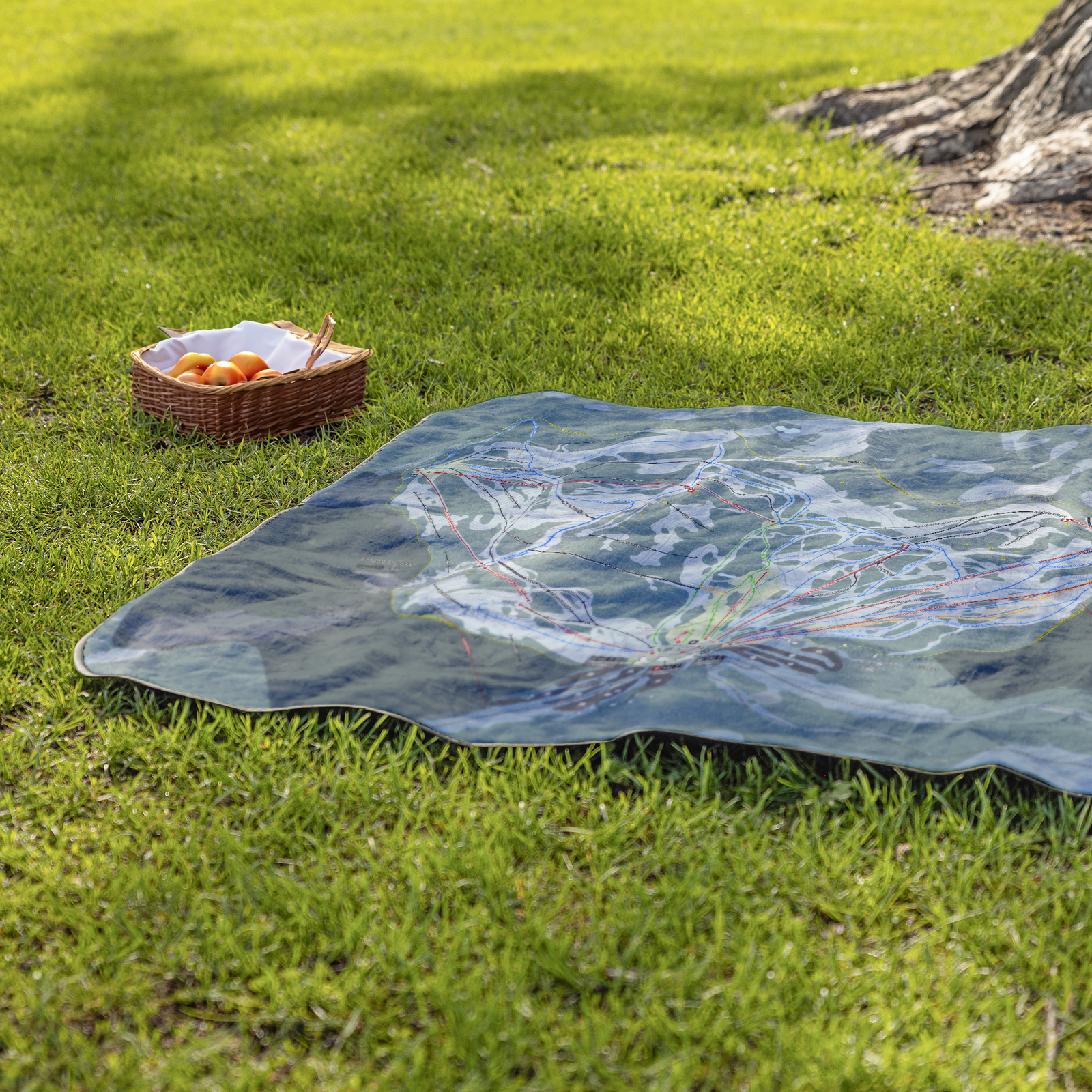 Stevens_Pass_StadiumBlanket_Lifestyle_Grass_V_AS_Mockup.png