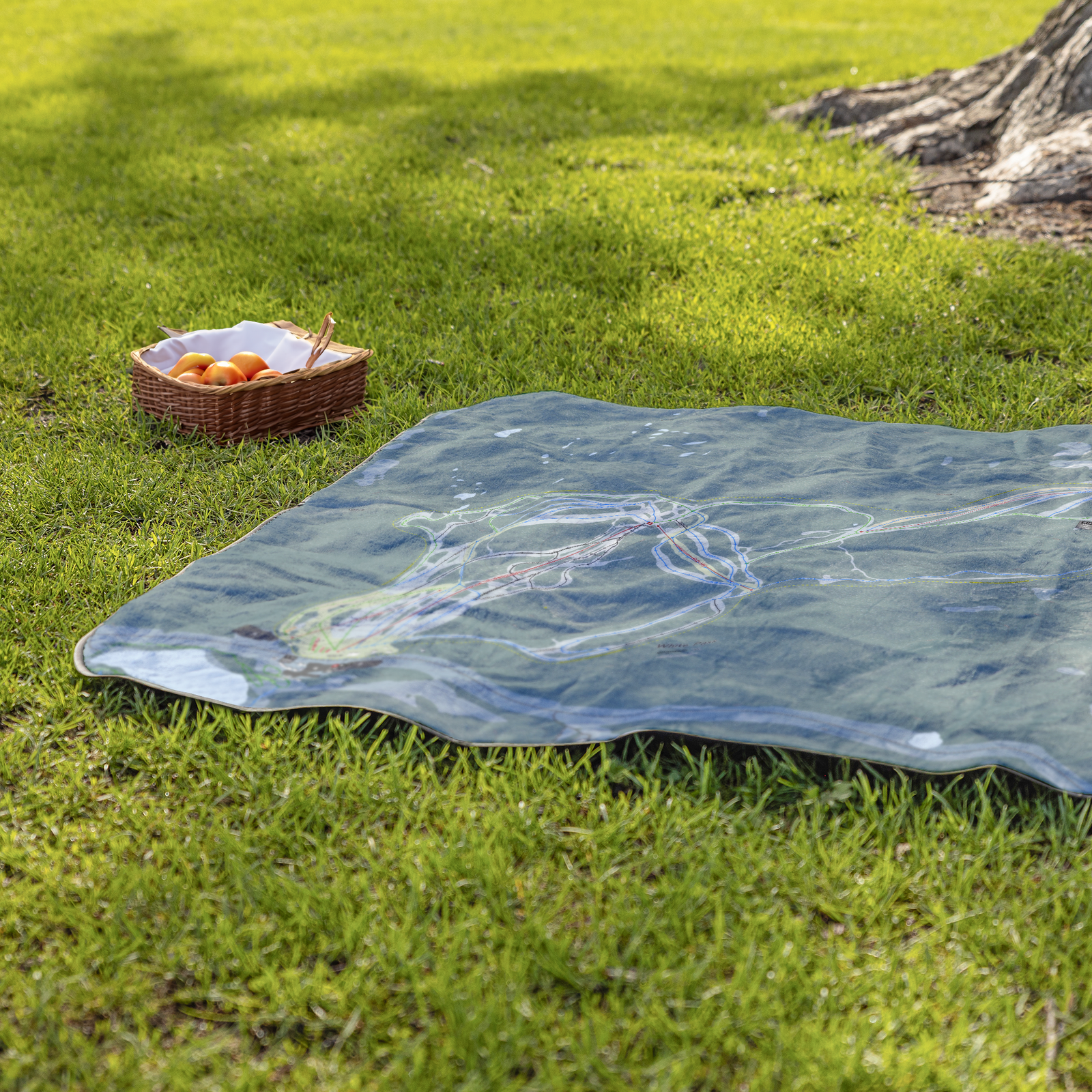 White_Pass_StadiumBlanket_Lifestyle_Grass_V_AS_Mockup.png