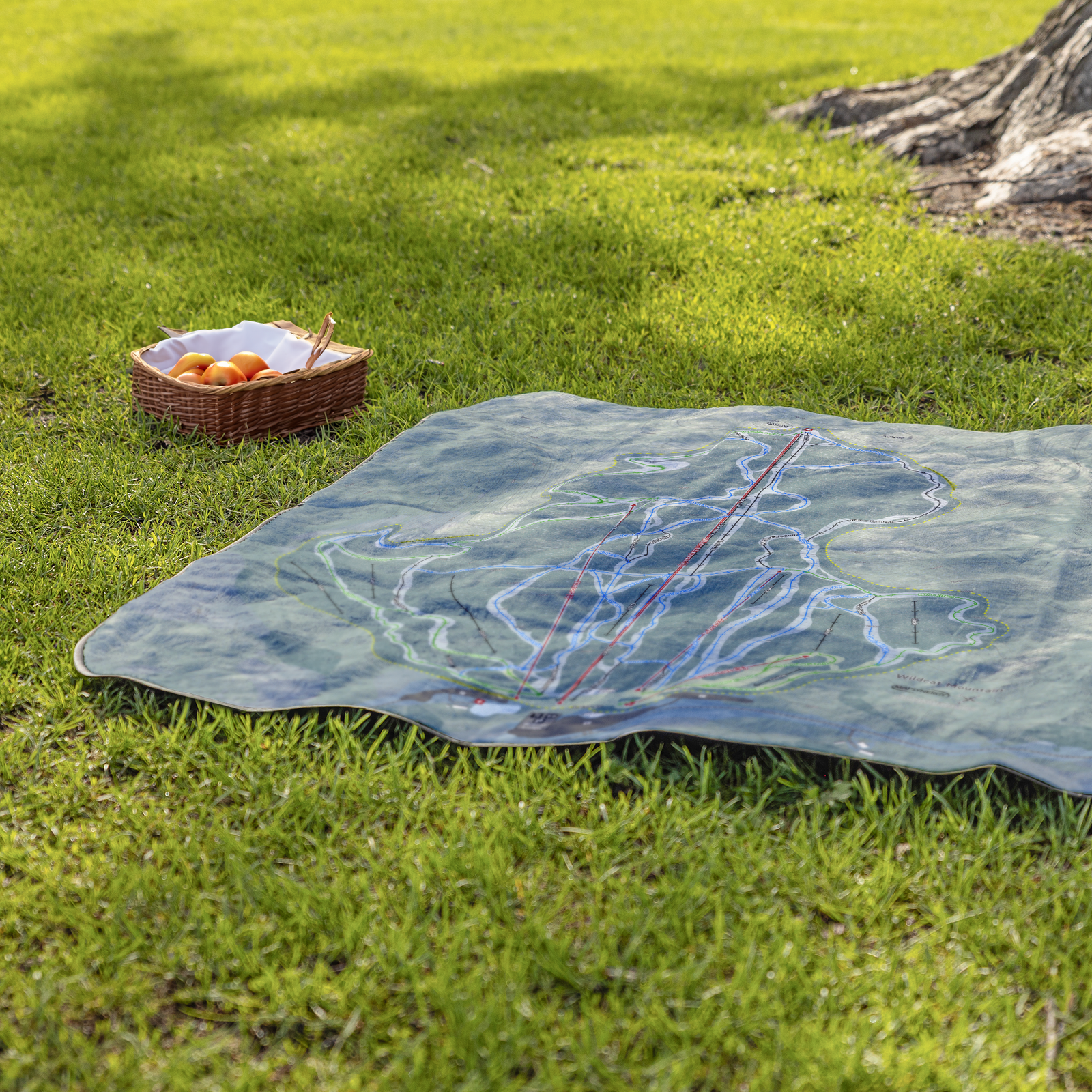 WildcatMountain_StadiumBlanket_Lifestyle_Grass_V_AS_Mockup.png