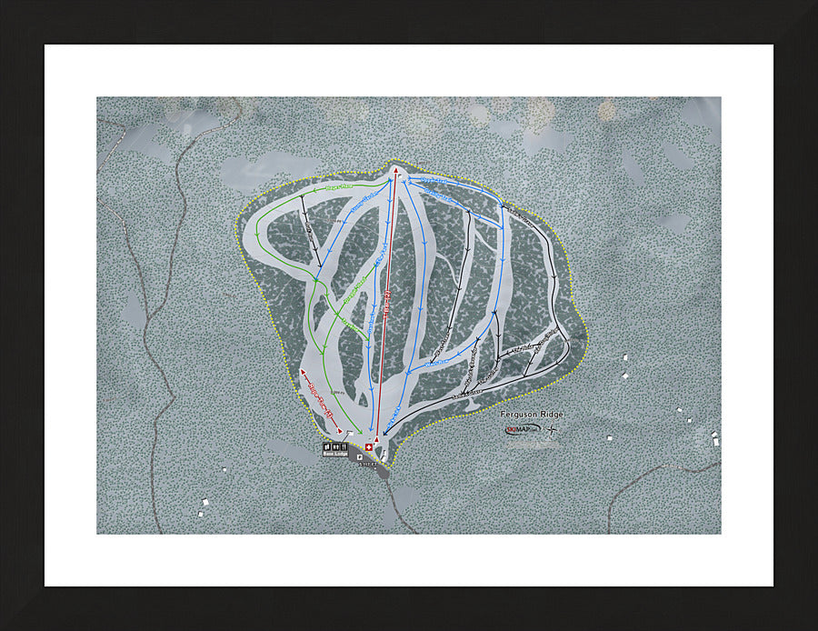 Framed Print
