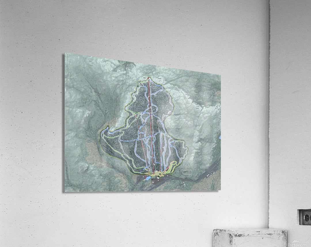 Acrylic Print