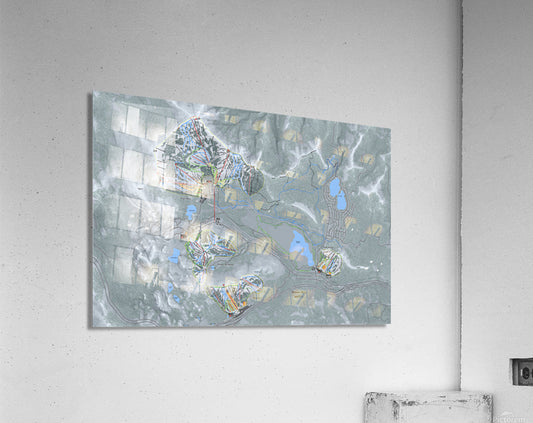 Acrylic Print