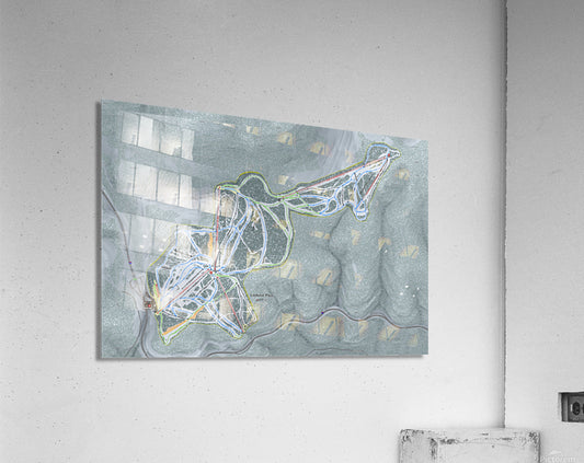 Acrylic Print