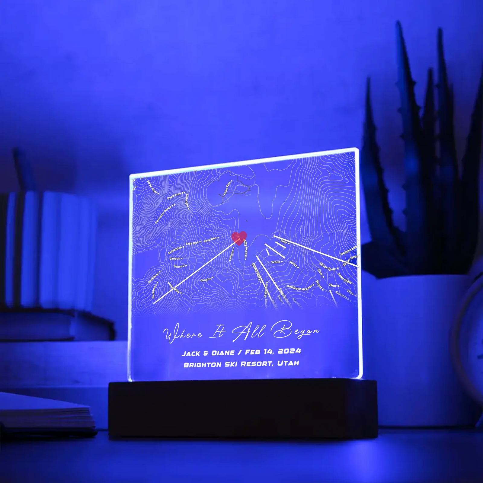 Engraved Acrylic Square Plaque - Map copy