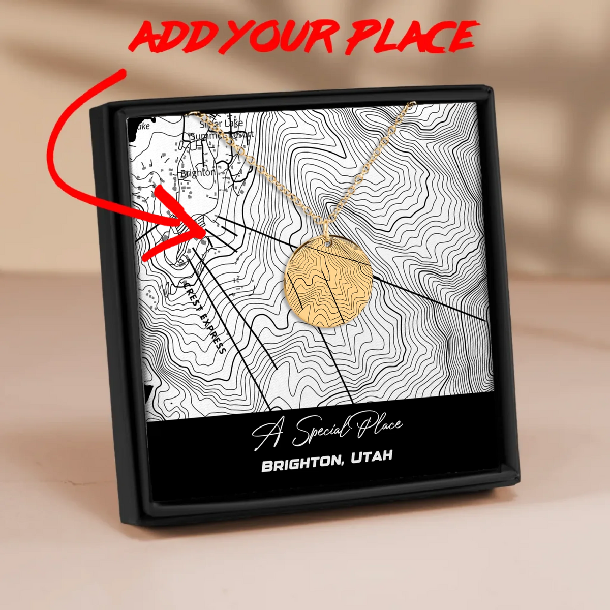 Coin Necklace Mockup_No Back Engraving_Gold