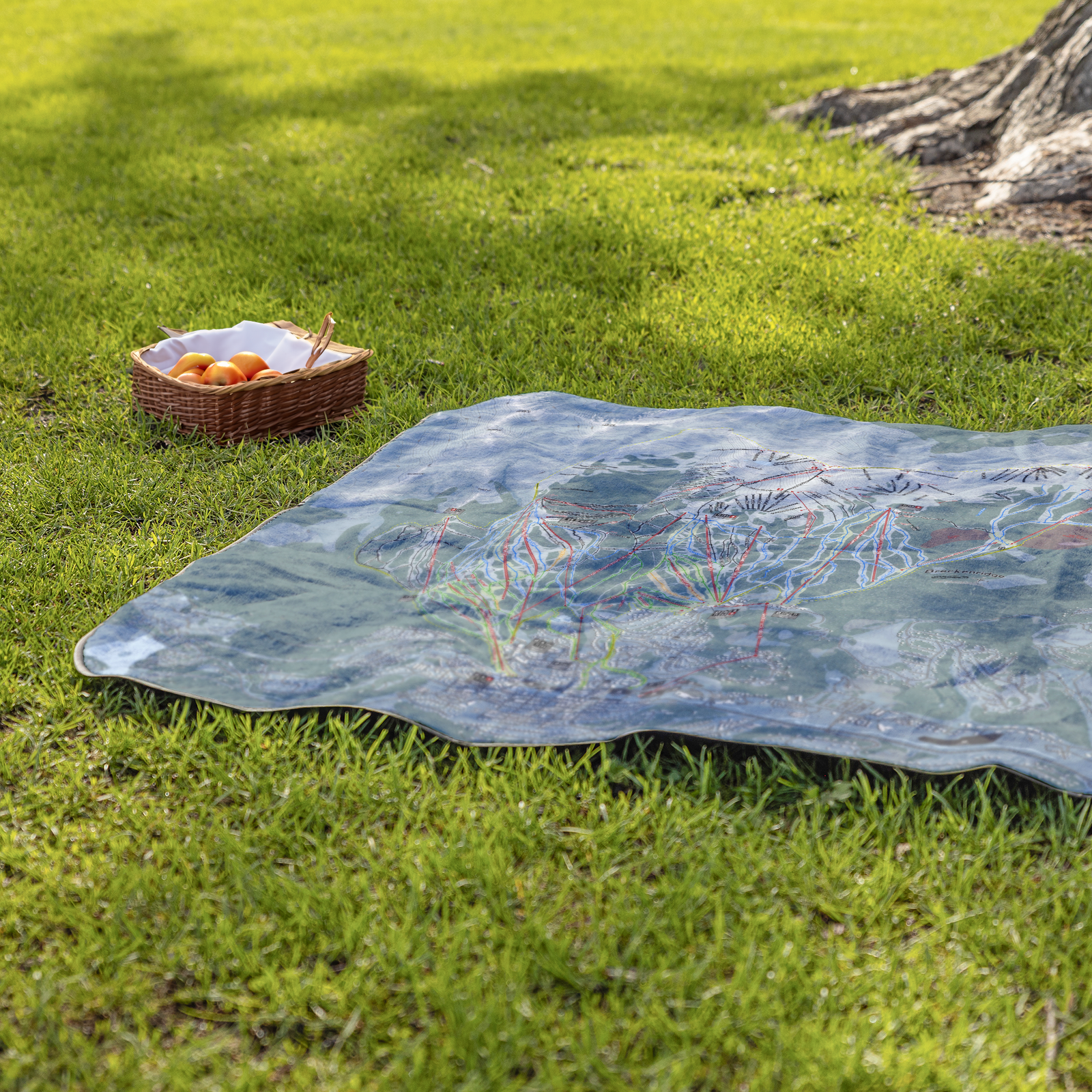 Breckenridge_StadiumBlanket_Lifestyle_Grass_V_AS_Mockup.png