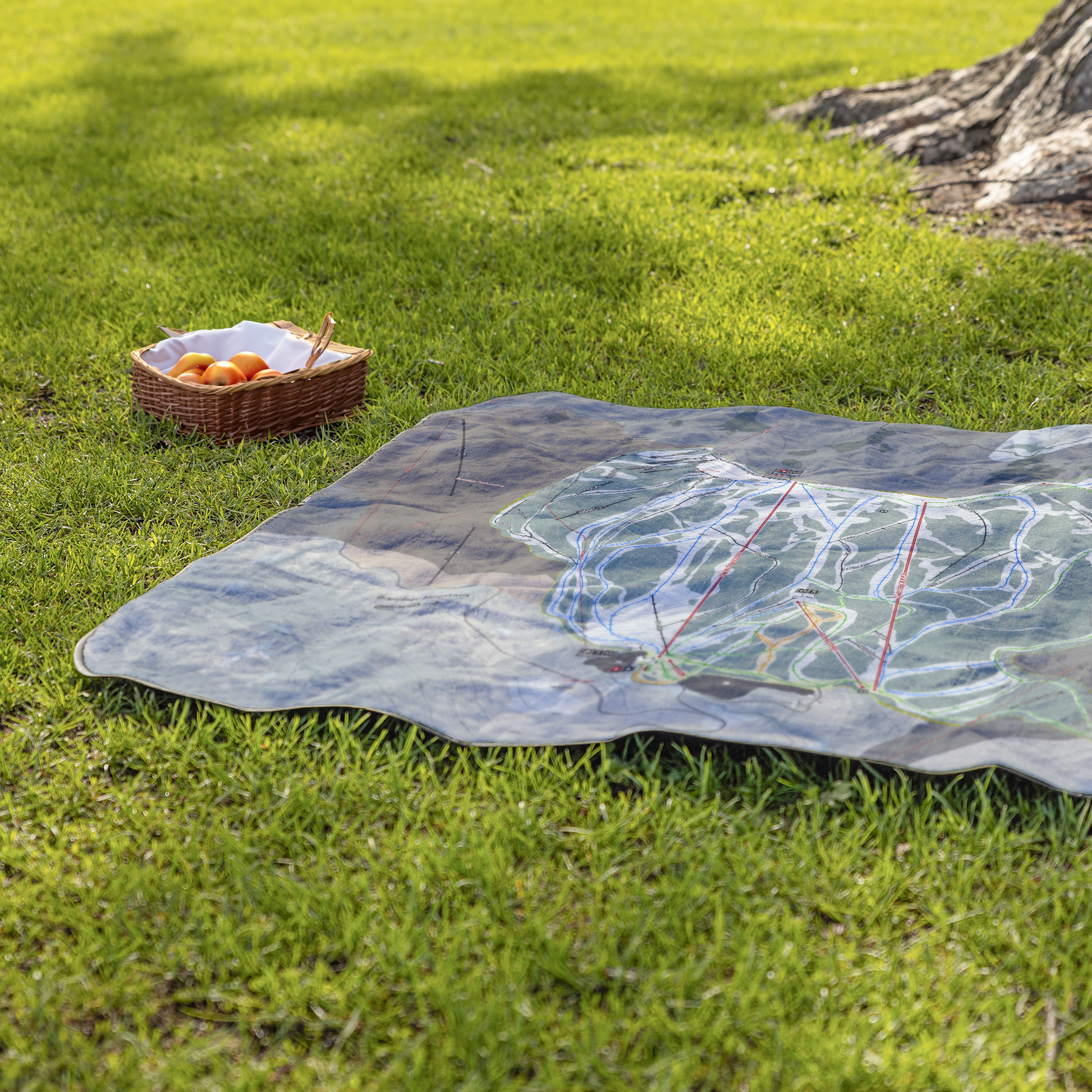 BrundageMountain_StadiumBlanket_Lifestyle_Grass_V_AS_Mockup.png