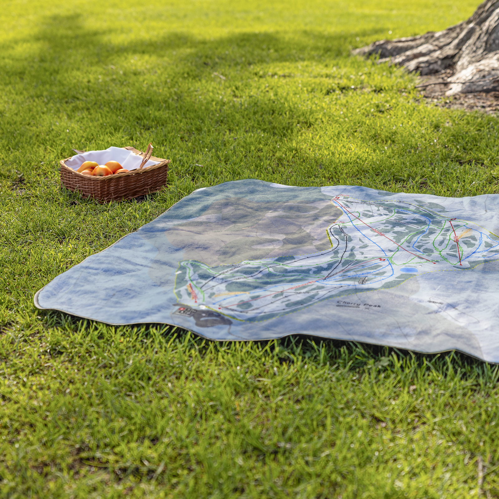CherryPeak_StadiumBlanket_Lifestyle_Grass_V_AS_Mockup.png