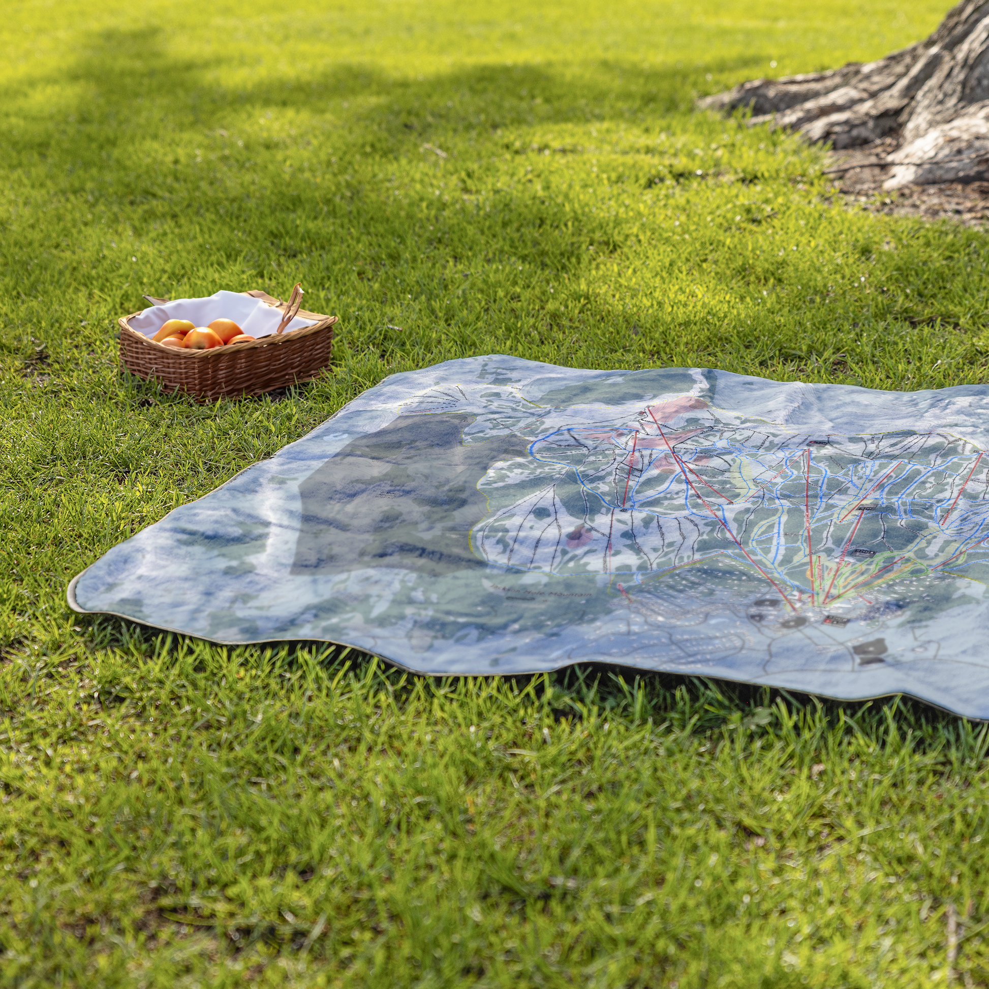 Jackson_Hole_StadiumBlanket_Lifestyle_Grass_V_AS_Mockup.png