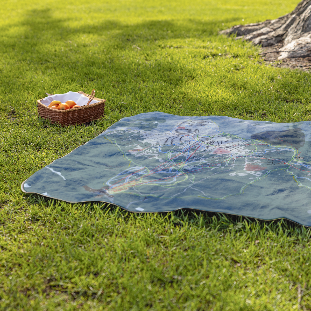 LakeLouise_StadiumBlanket_Lifestyle_Grass_V_AS_Mockup.png