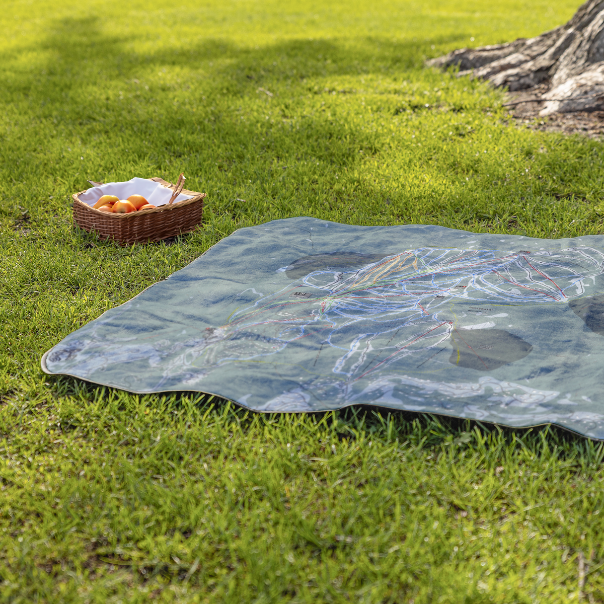 Northstar_StadiumBlanket_Lifestyle_Grass_V_AS_Mockup.png