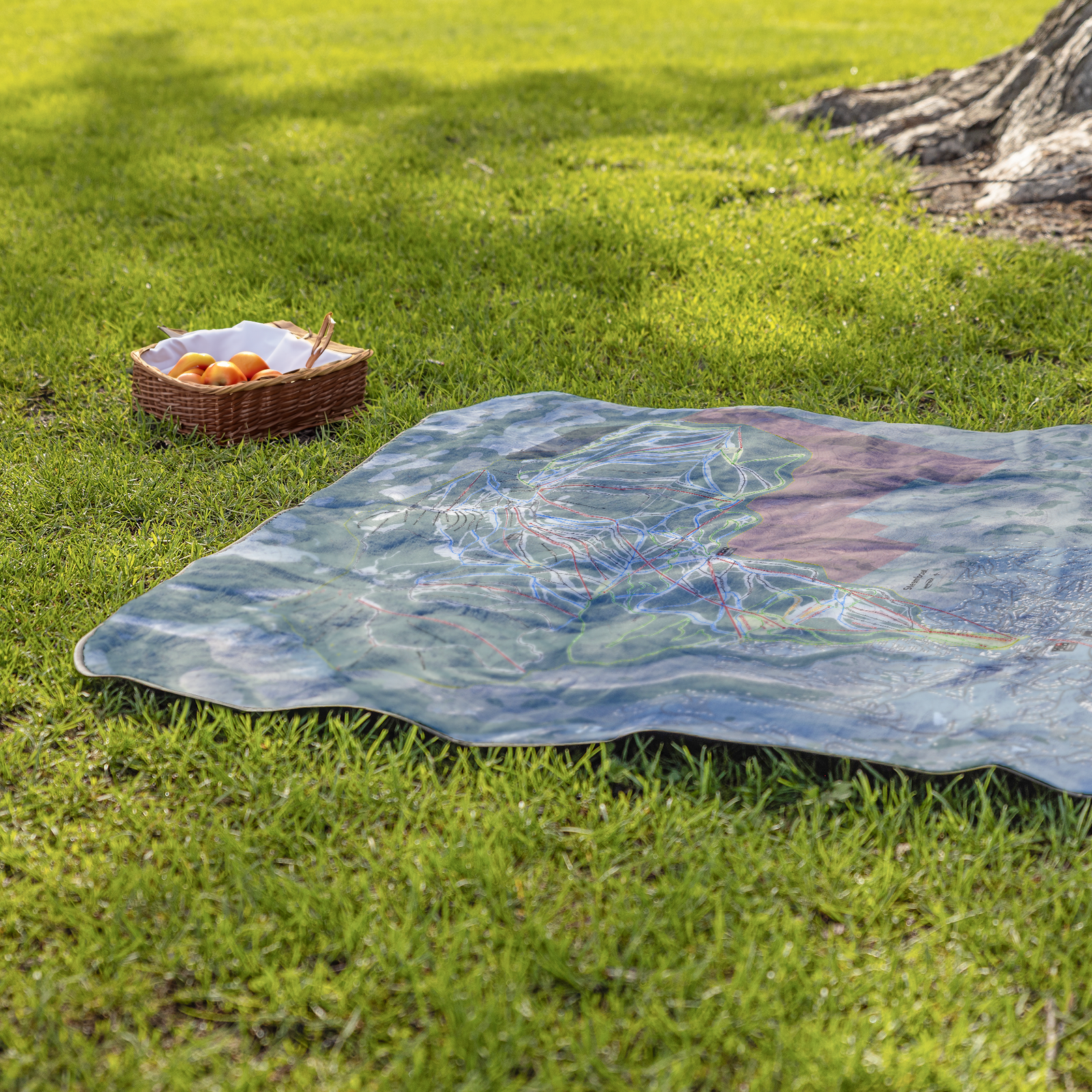 Steamboat_StadiumBlanket_Lifestyle_Grass_V_AS_Mockup.png