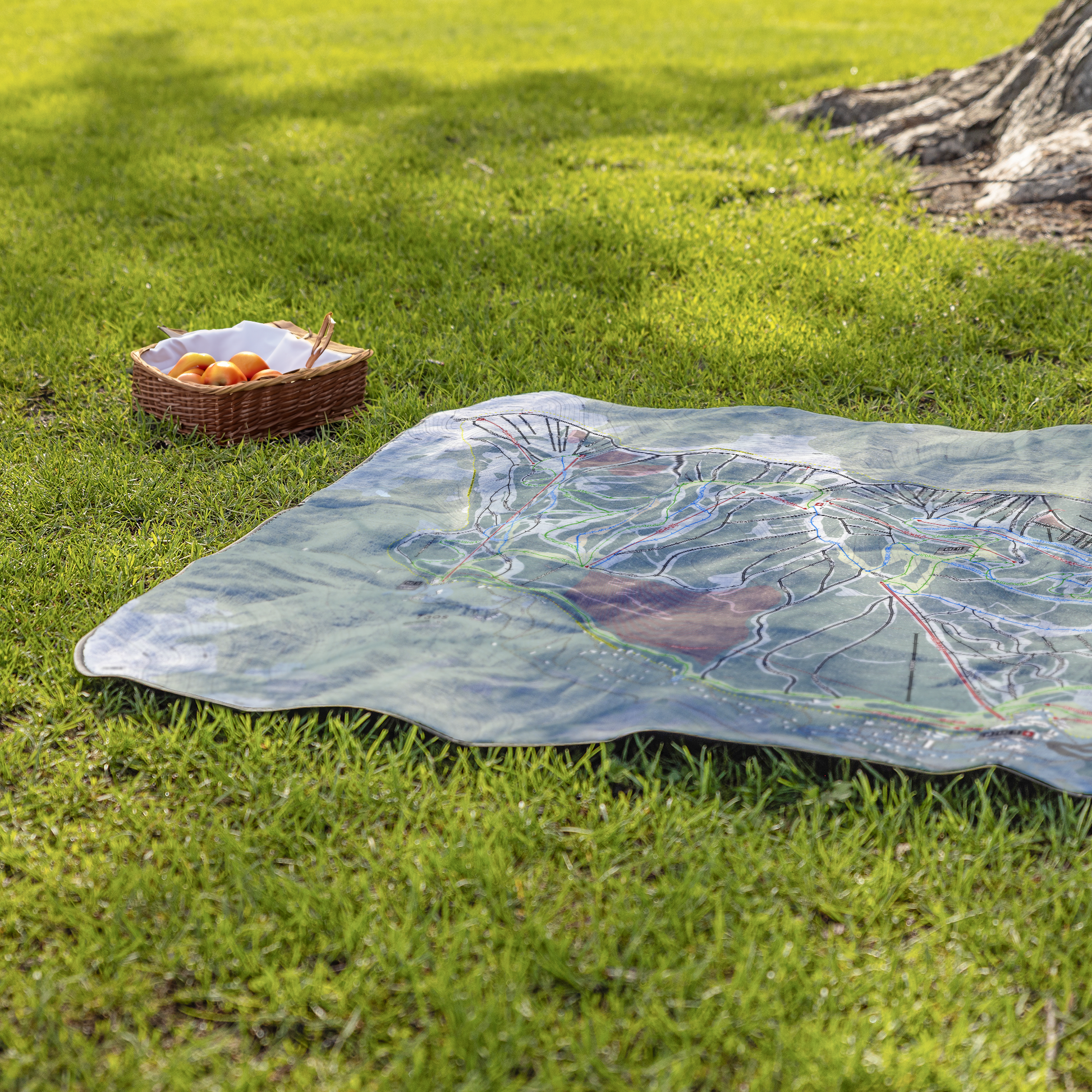 Taos_StadiumBlanket_Lifestyle_Grass_V_AS_Mockup.png