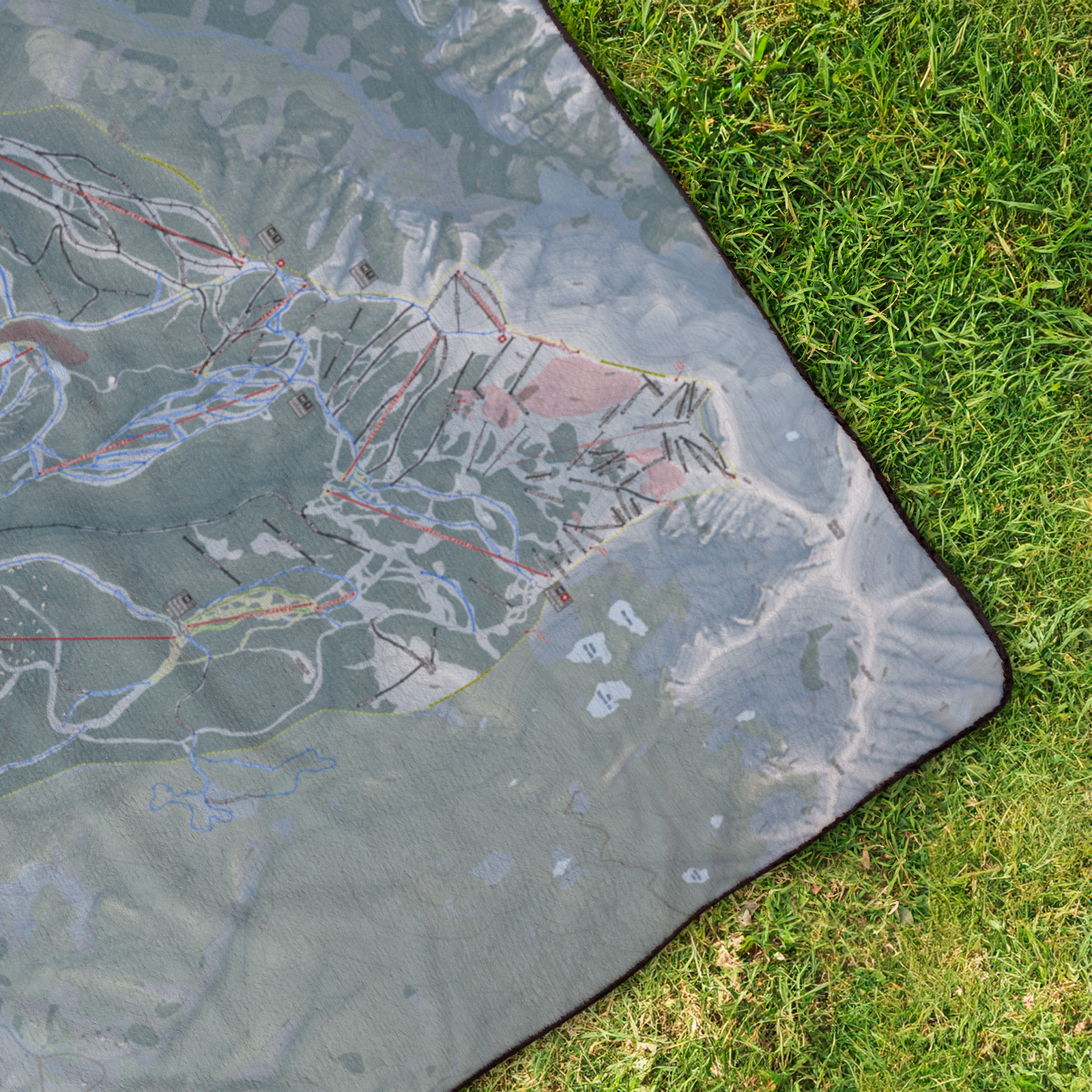 Telluride_StadiumBlanket_OverheadGrass_V_Mockup.png