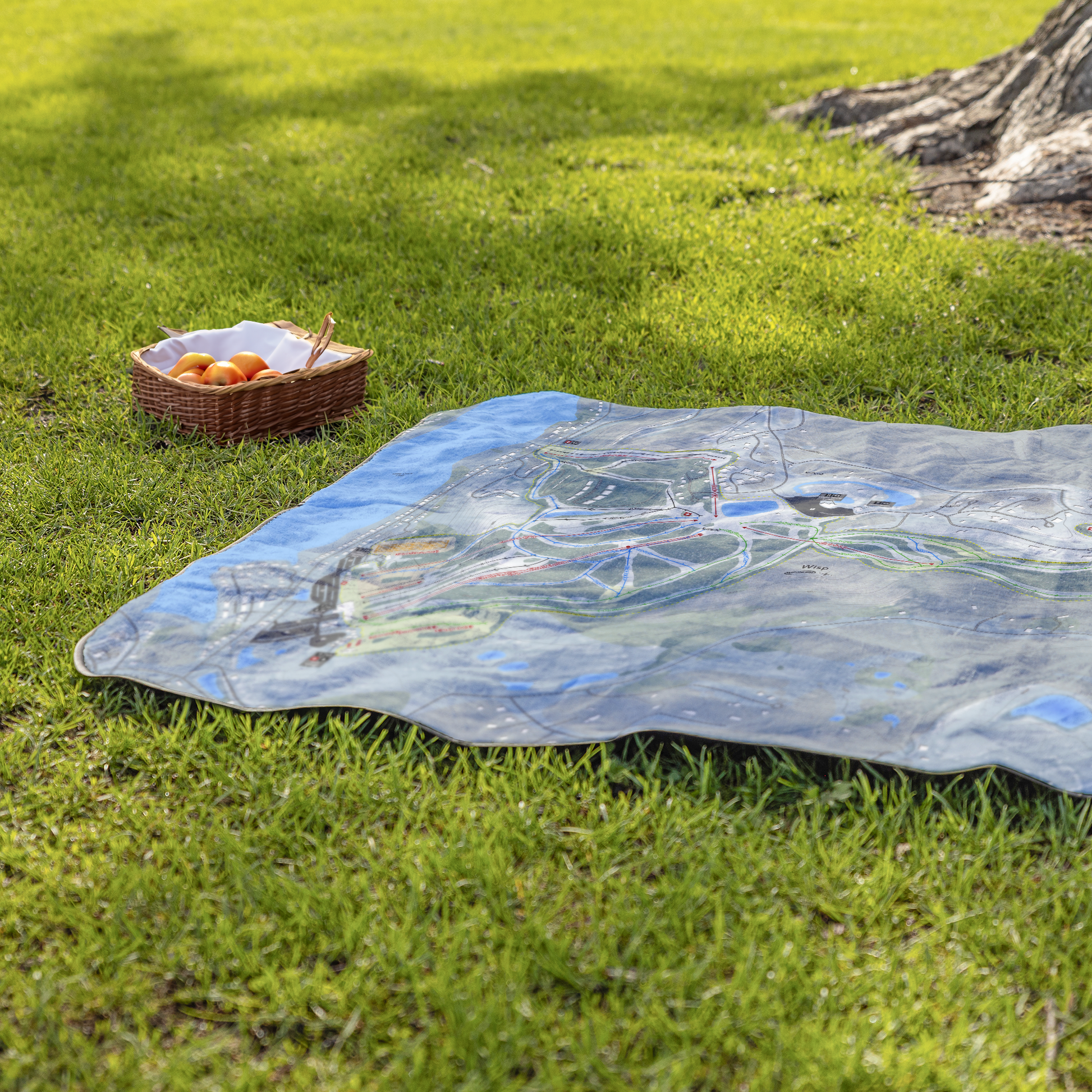 Wisp_StadiumBlanket_Lifestyle_Grass_V_AS_Mockup.png
