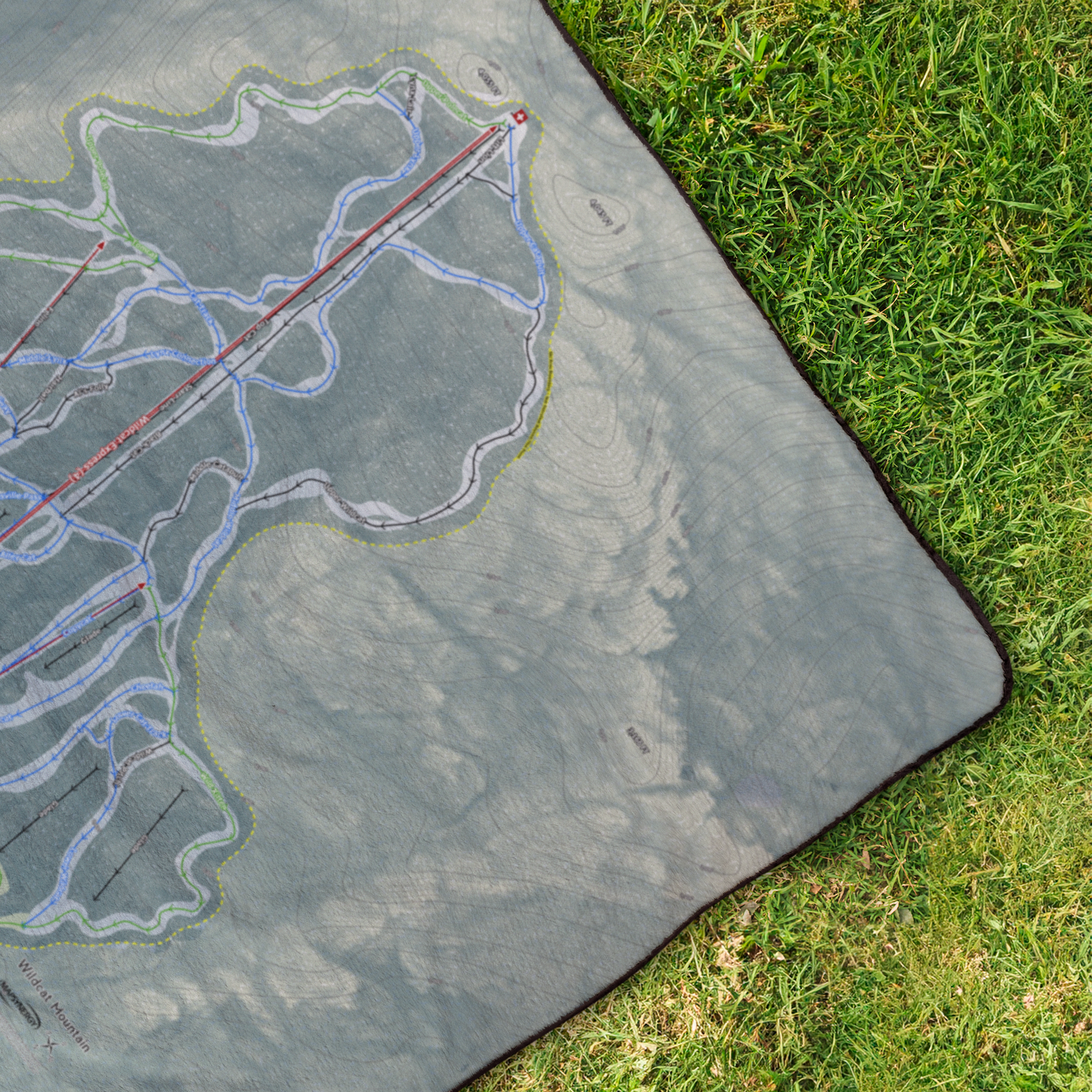 tr_StadiumBlanket_OverheadGrass_V_Mockup.png