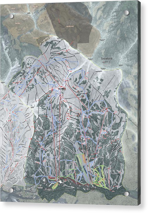 Snowbird, Utah Ski Trail Map - Acrylic Print - Powderaddicts