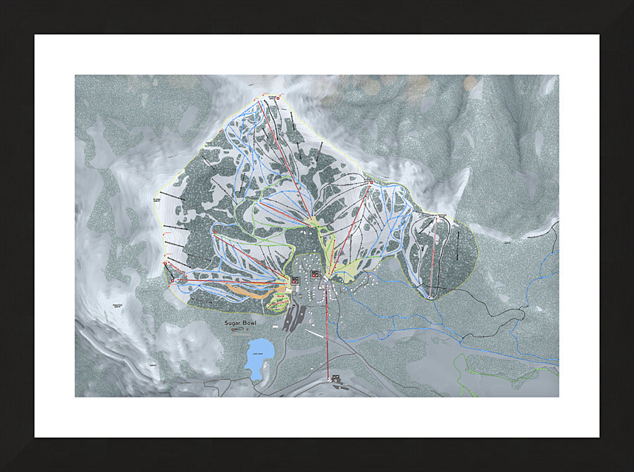 Framed Print