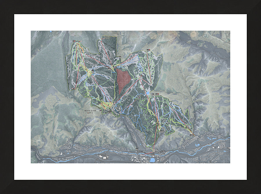 Framed Print