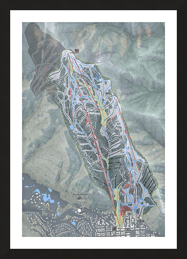 Framed Print