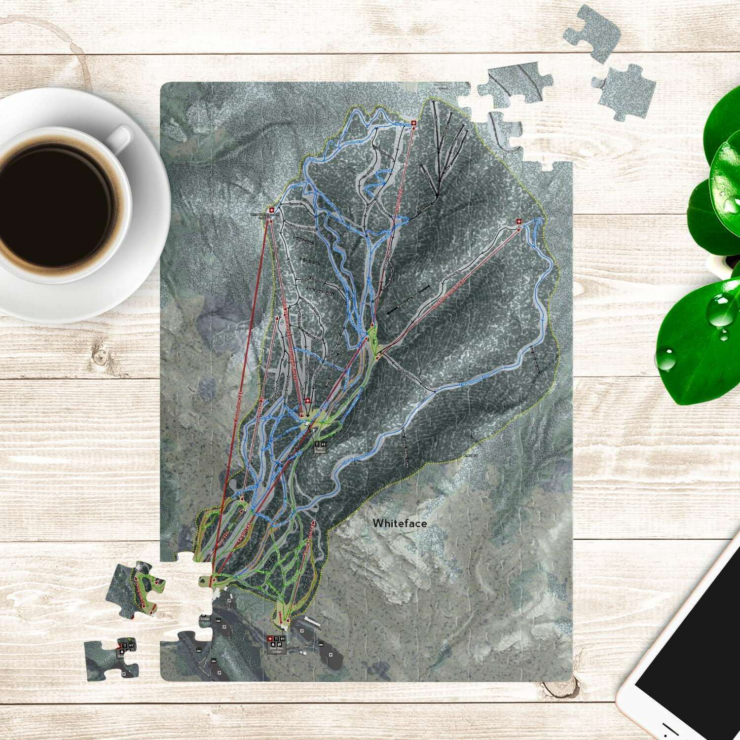 Whiteface, New York Ski Trail Map Puzzles - Powderaddicts