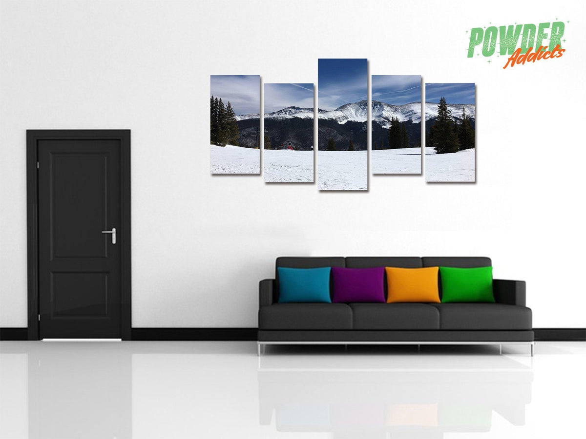 CUSTOM REQUEST #4 - 5 Piece Canvas - Powderaddicts