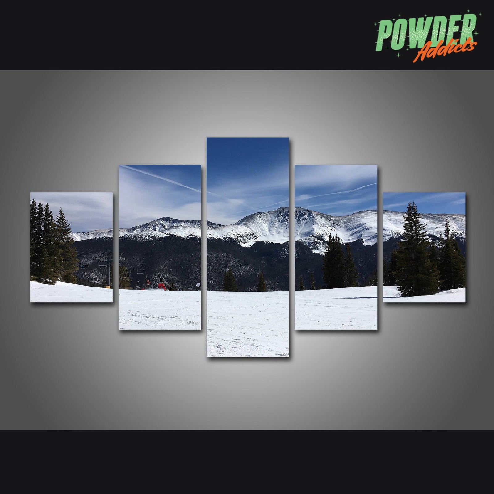 CUSTOM REQUEST #4 - 5 Piece Canvas - Powderaddicts