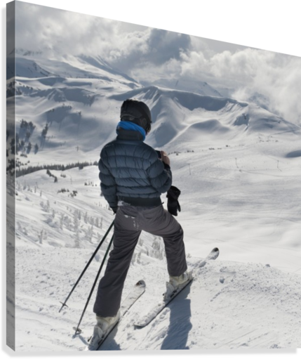 A Skier Pauses On The Trail To Look Out Over The Mountains; Whistler, British Columbia, Canada - Powderaddicts