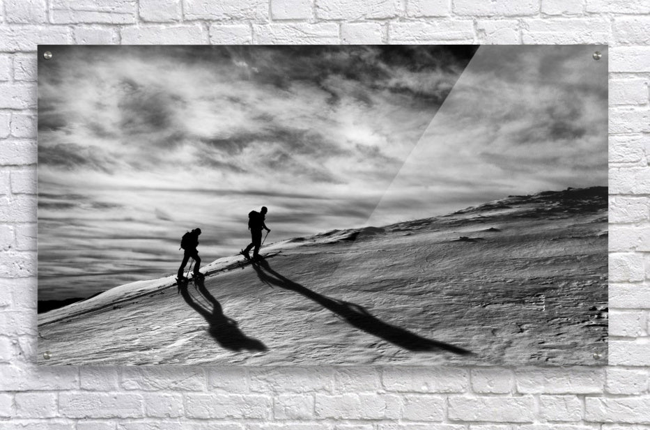 Acrylic Print