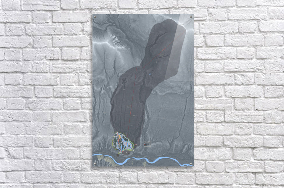 Acrylic Print
