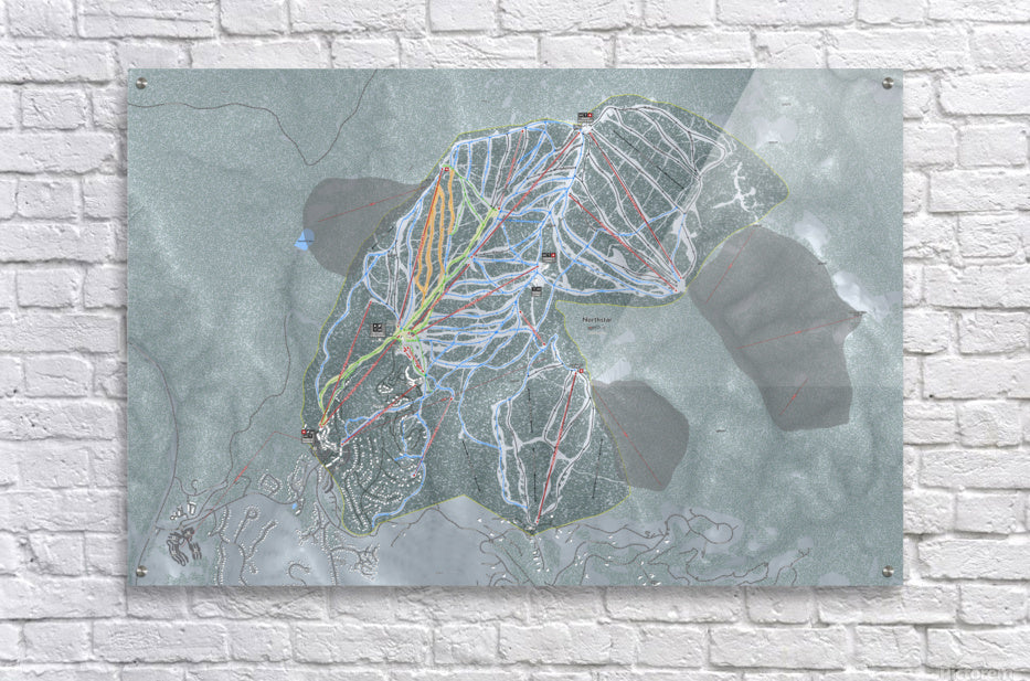 Acrylic Print