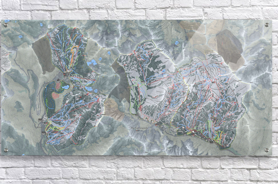 Acrylic Print
