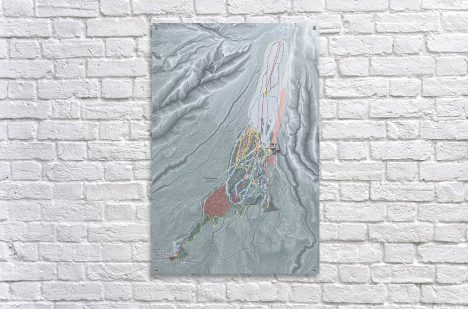 Acrylic Print