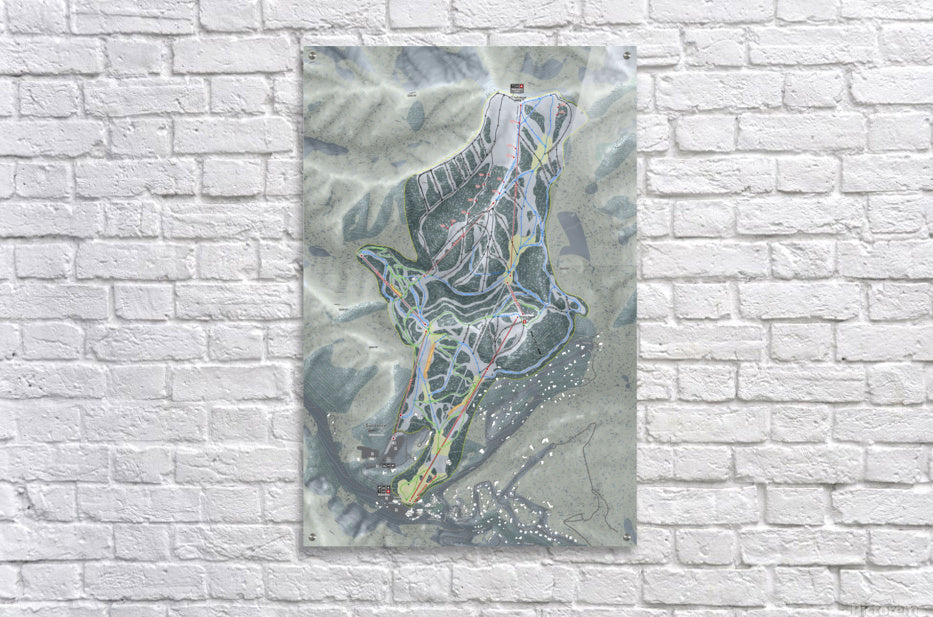 Acrylic Print