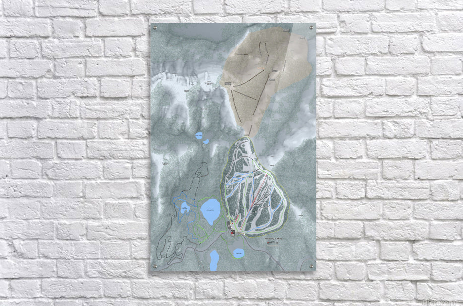 Acrylic Print