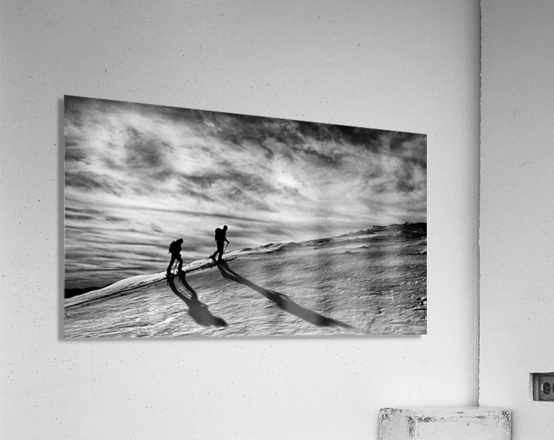 Acrylic Print
