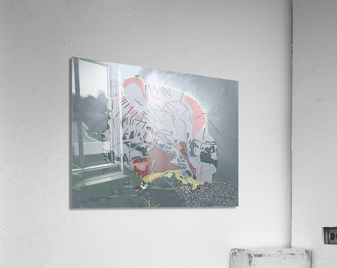 Acrylic Print