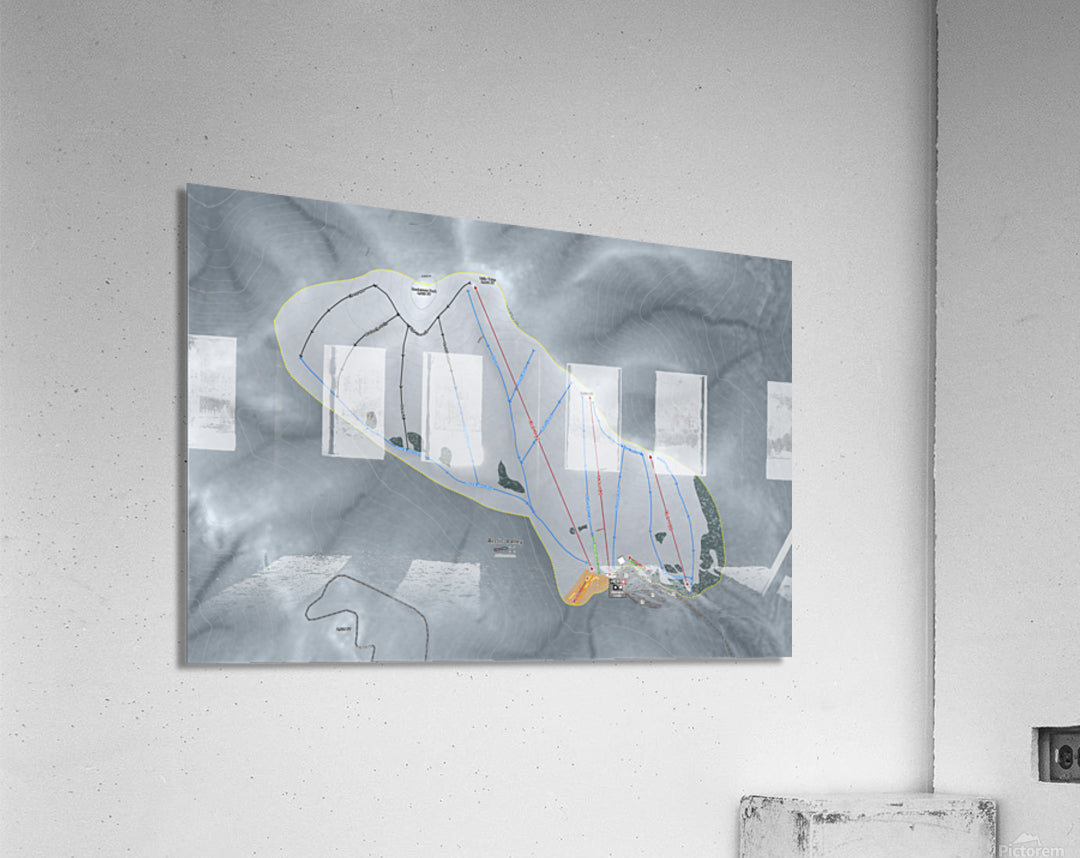 Acrylic Print