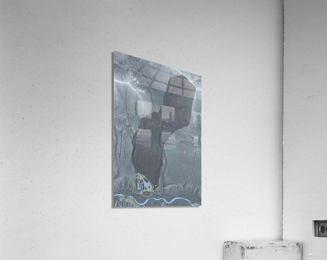 Acrylic Print