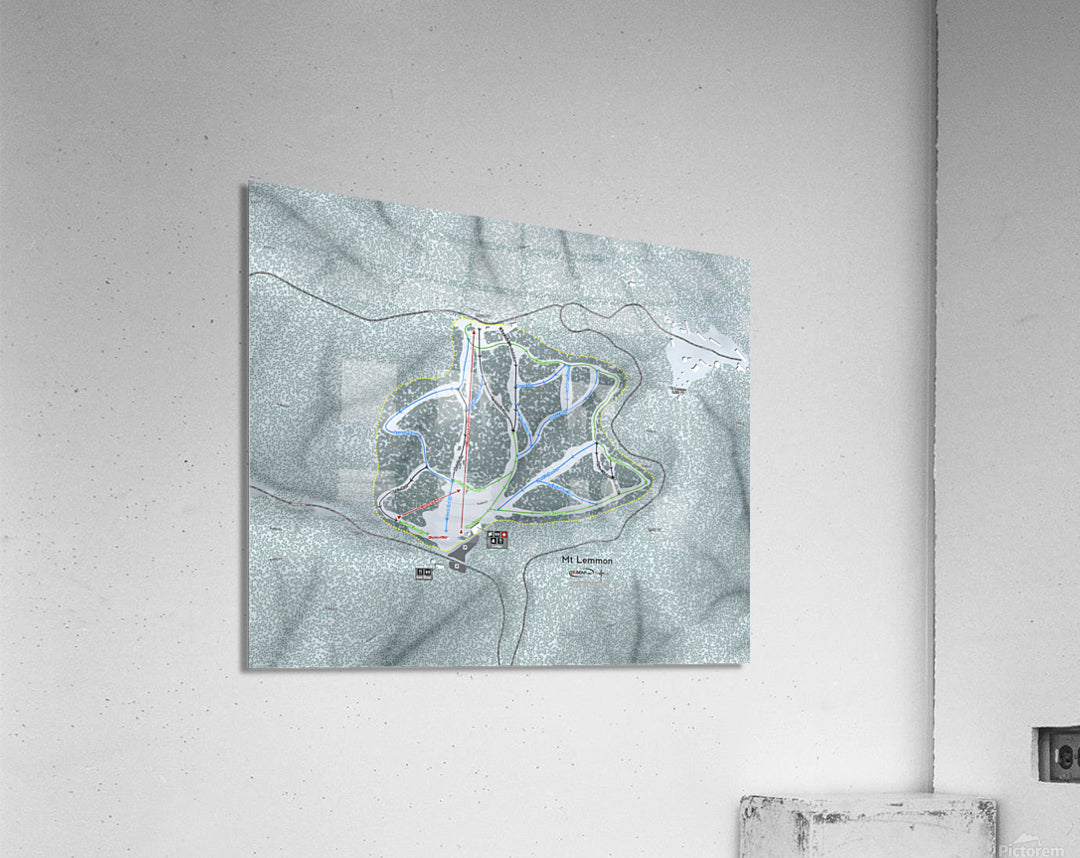 Acrylic Print