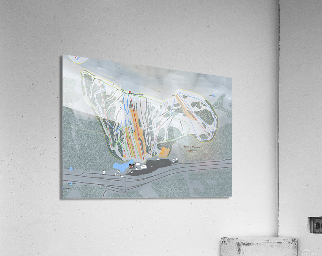Acrylic Print