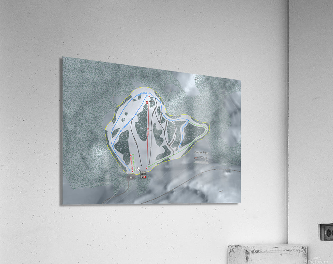 Acrylic Print