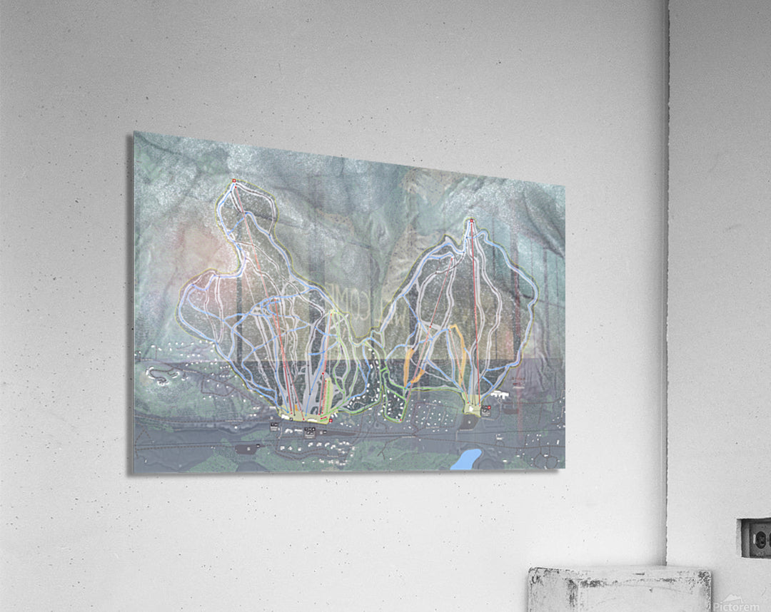 Acrylic Print