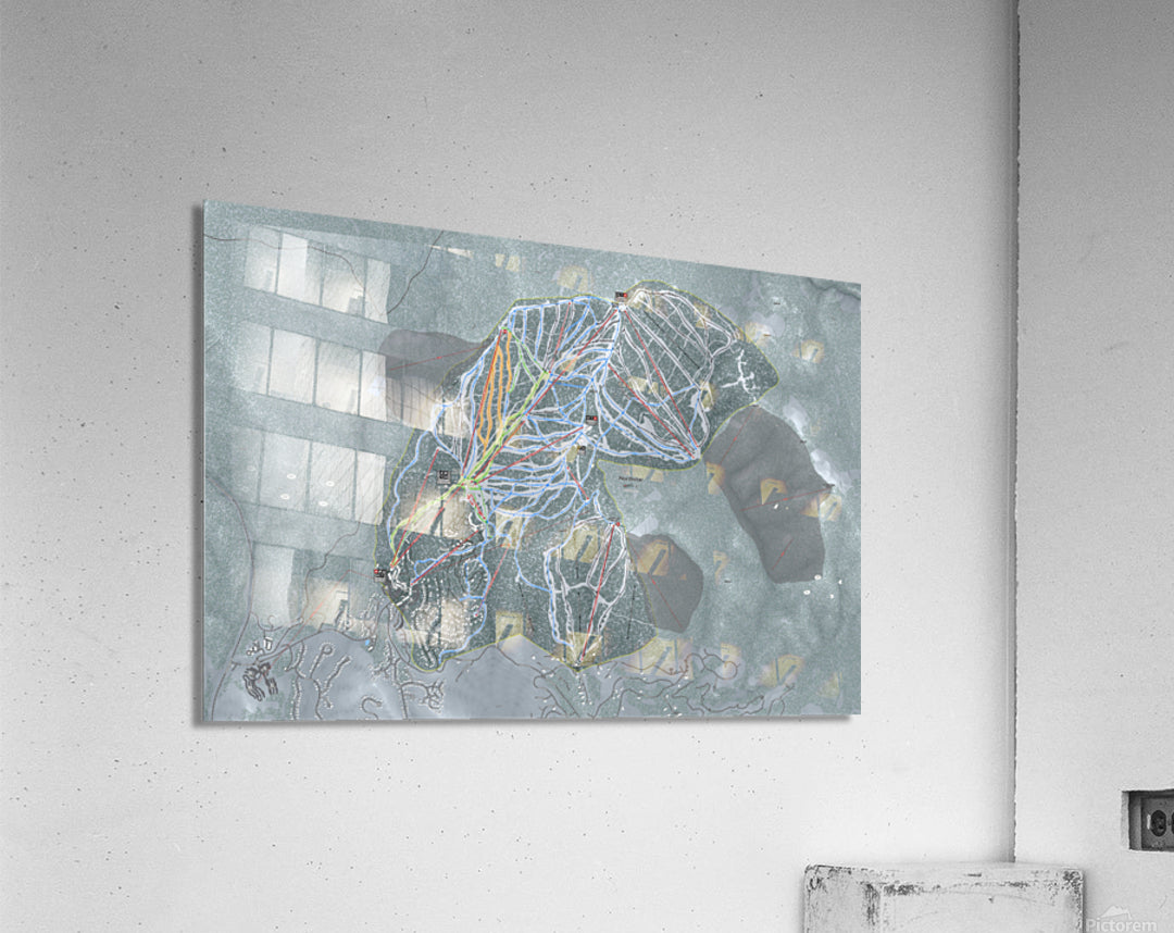 Acrylic Print