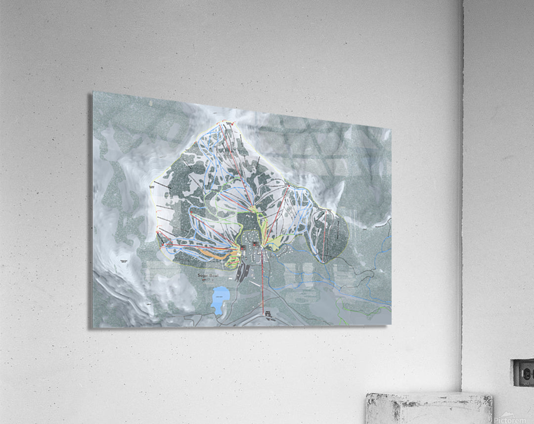 Acrylic Print