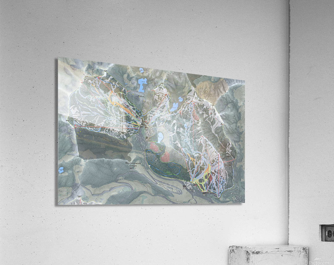 Acrylic Print
