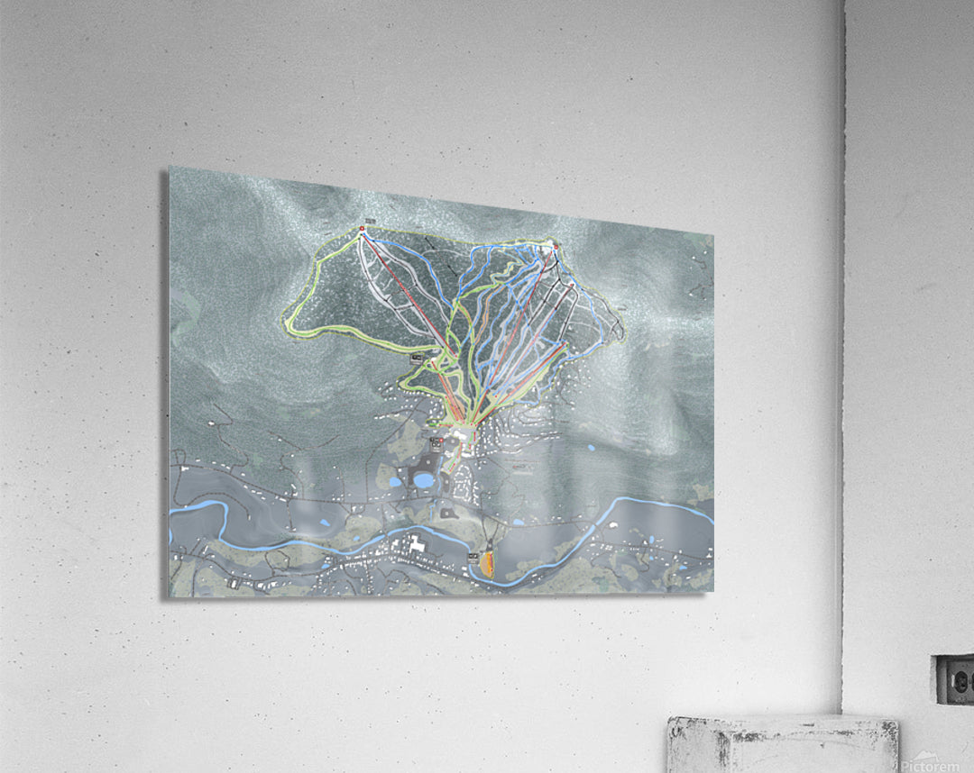 Acrylic Print
