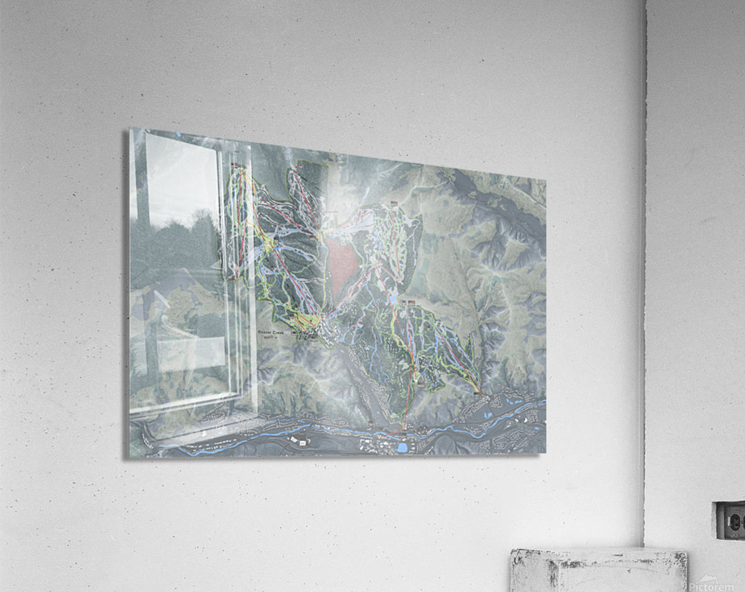 Acrylic Print